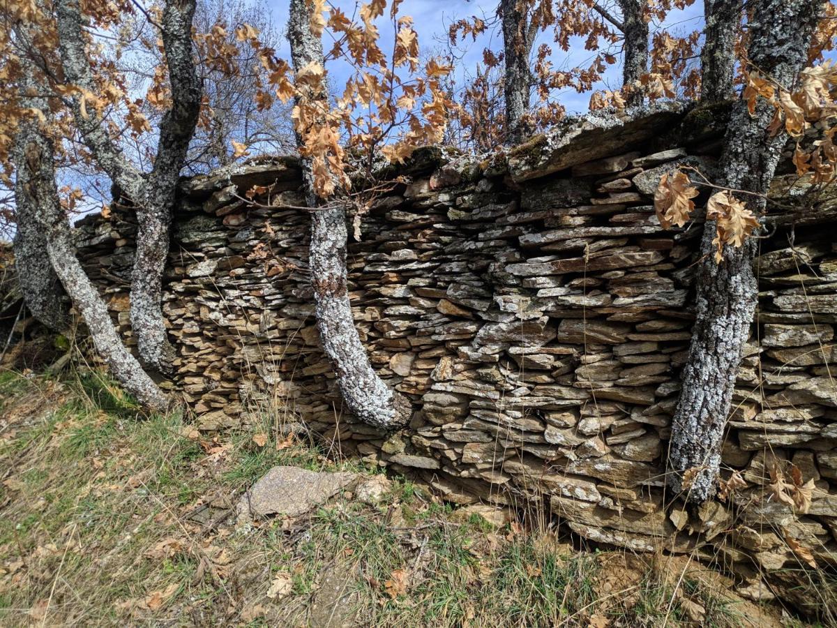 Casa Rural Fuente Del Arca Montejo Монтехо-де-ла-Сьерра Экстерьер фото